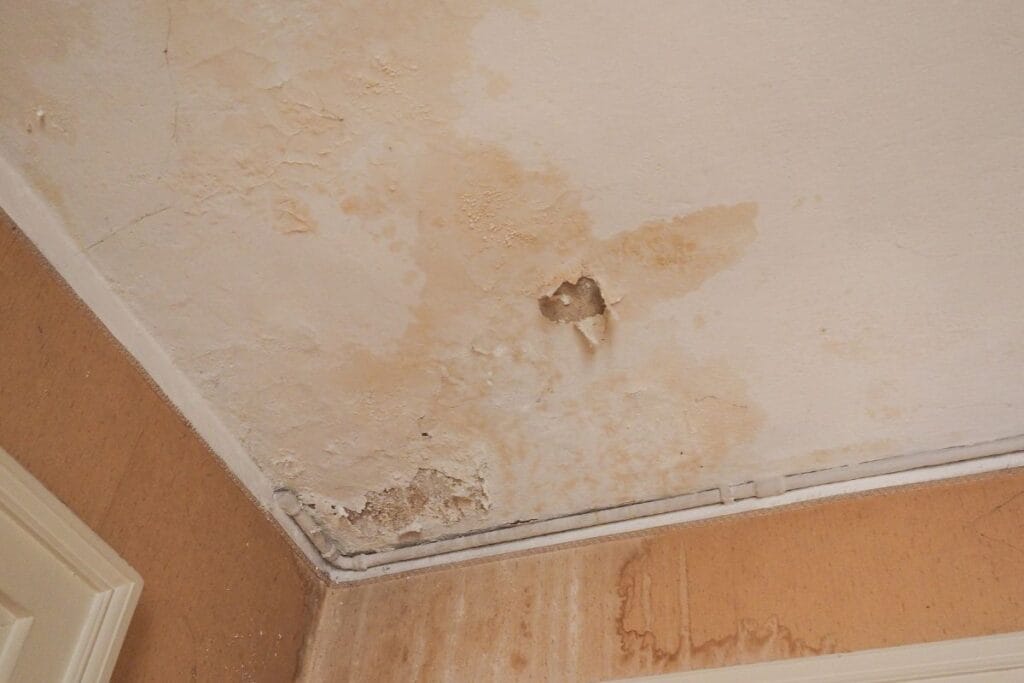 Water Stains on Walls 